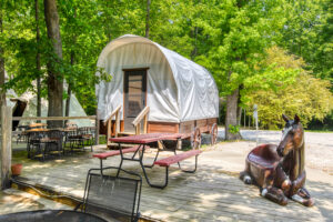 Manchester Koa 2 0184 Web