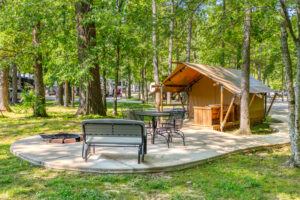 Manchester Koa 0098 Web