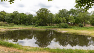 Camp Cadillac Fishing Pond