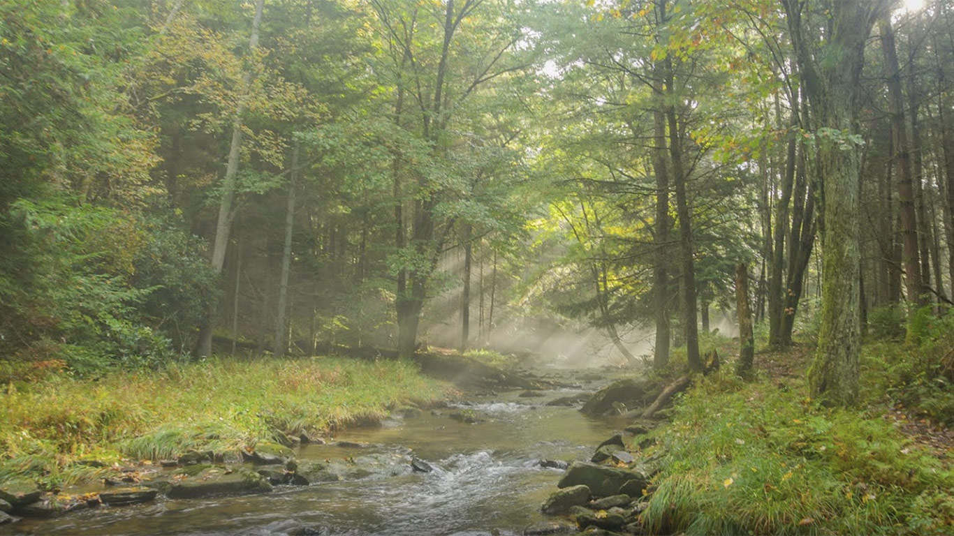 Clear Creek State Park