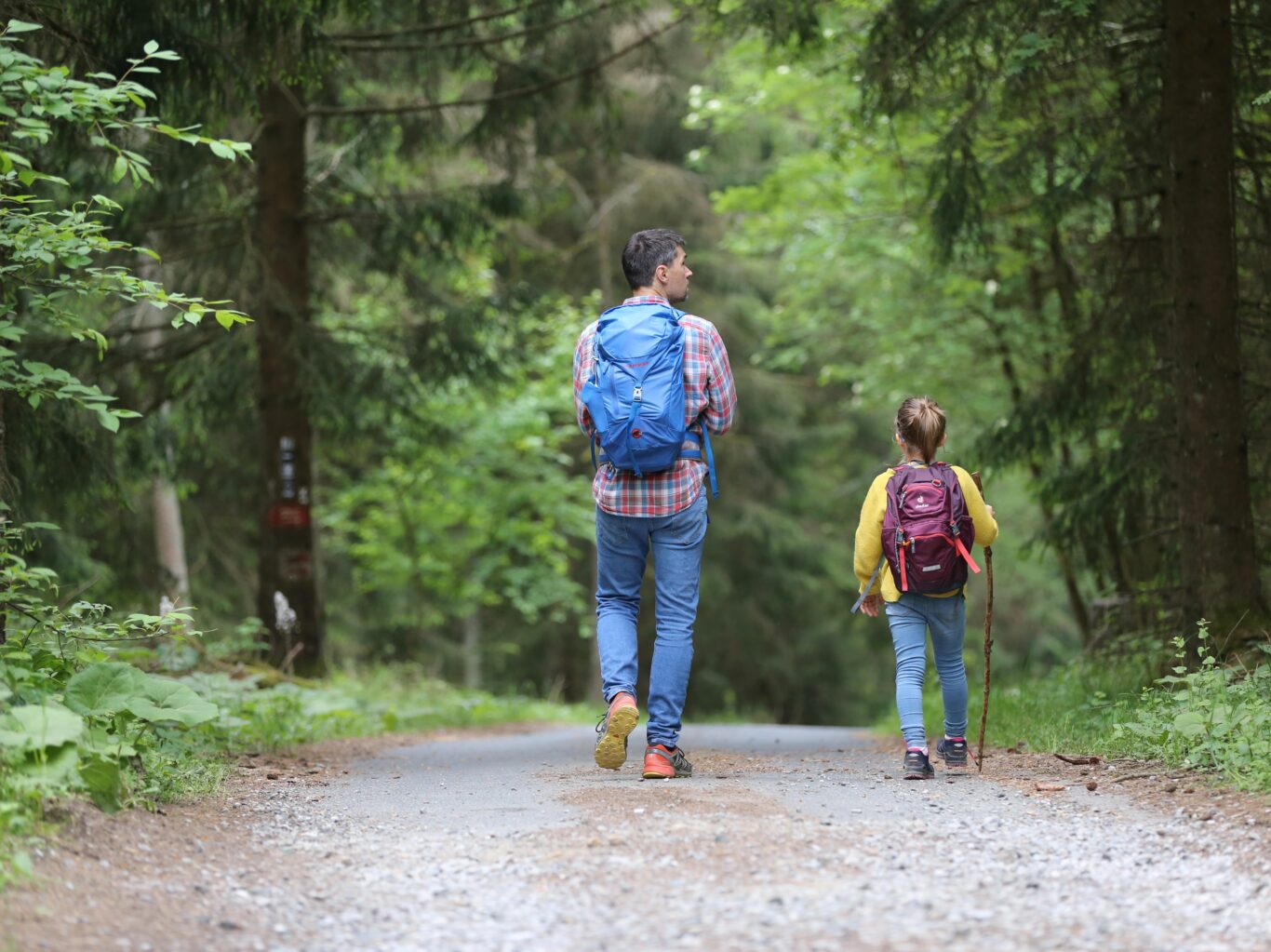 Essential Summer Camping Tips for Your Allegheny National Forest Adventure Campers Paradise