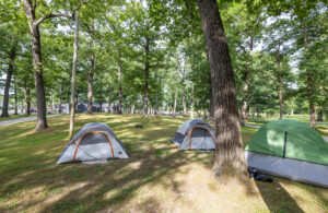 Lost Acres Summer 2022 0519