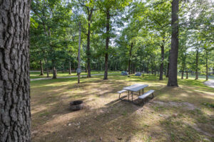 Lost Acres Summer 2022 0523