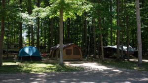 Timberline Rv Park Group Camping