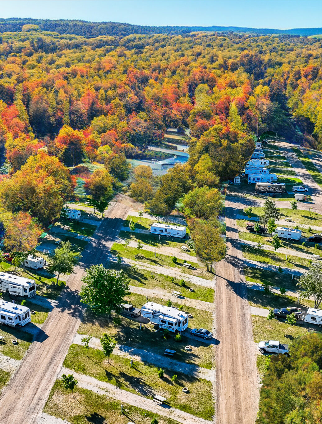 Timberline Promo Fall Image