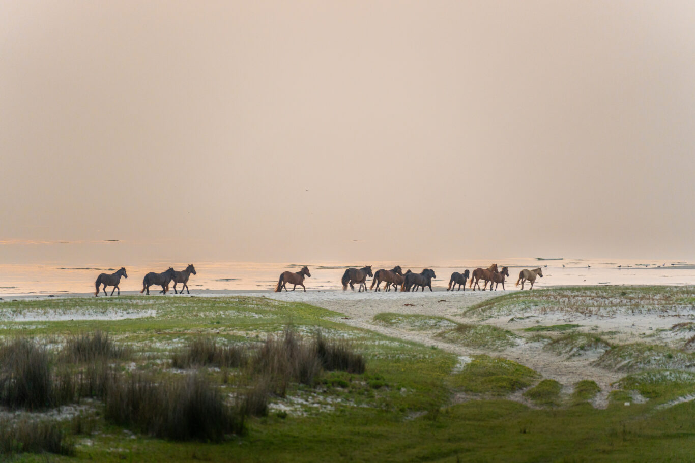 Cedar Island Ranch 00862