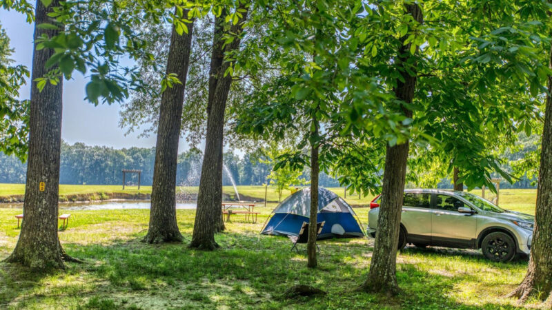 Home Card Tents